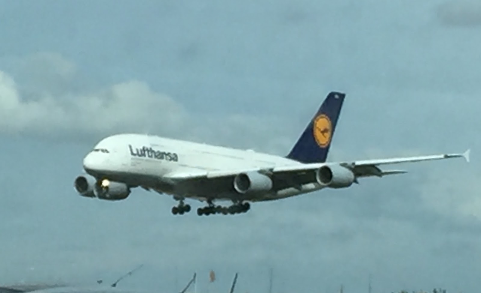 your-expert-for-air-freight-lufthansa-cargo