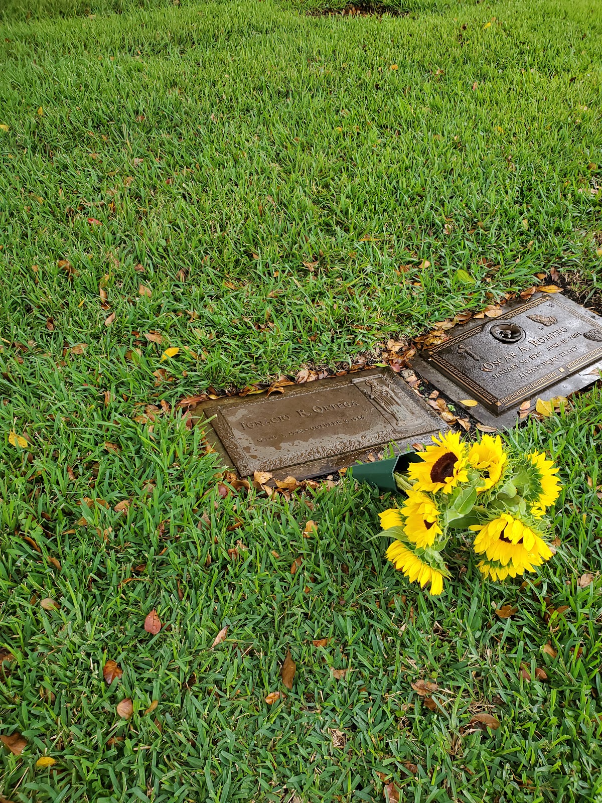 Catholic Cemeteries of the Archdiocese of Miami