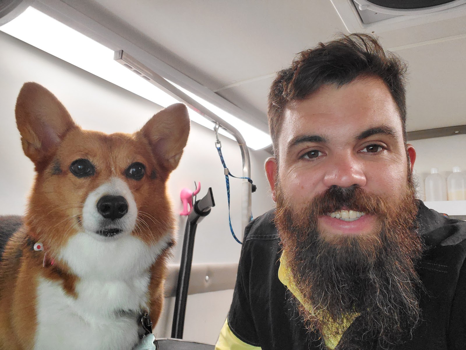 Gaston Mobile Grooming » Establishment in Doral FL