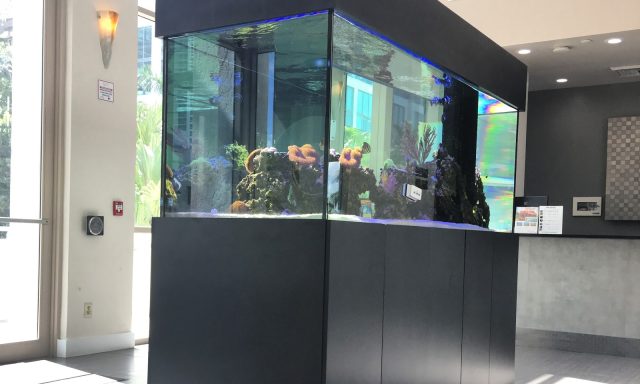 Aquarium Marketing