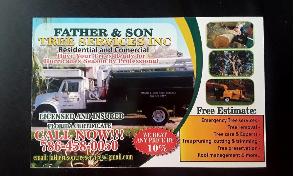 Father n Son Tree Service