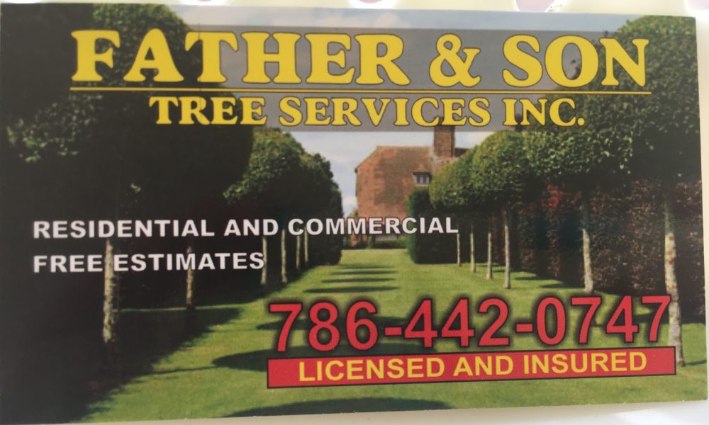Father n Son Tree Service