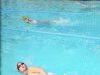 Wetdolphin Swimming Academy