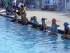 Wetdolphin Swimming Academy