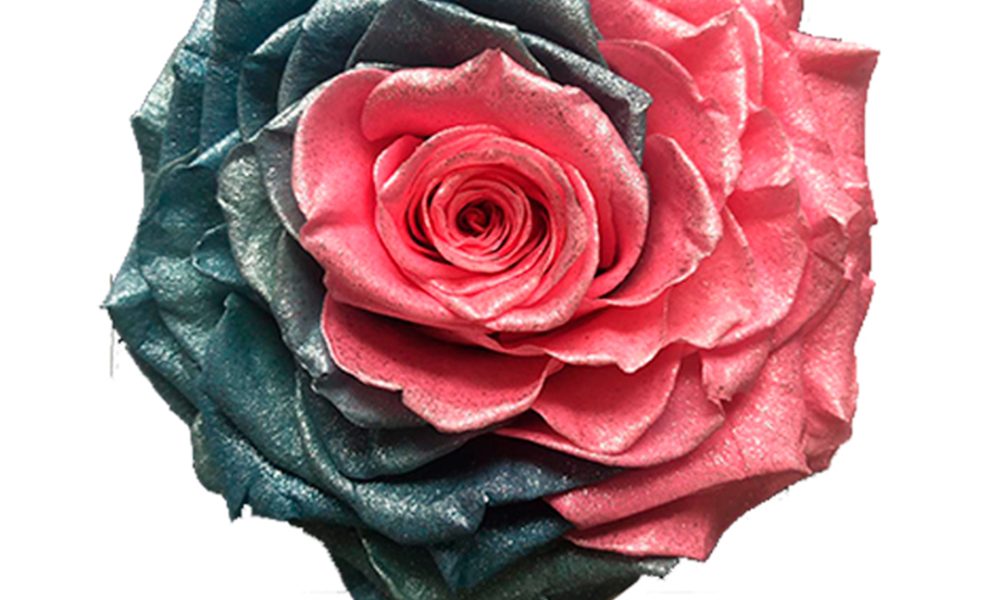 Wholesale Preserved Roses