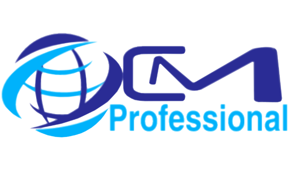 CM Professional Information Technology