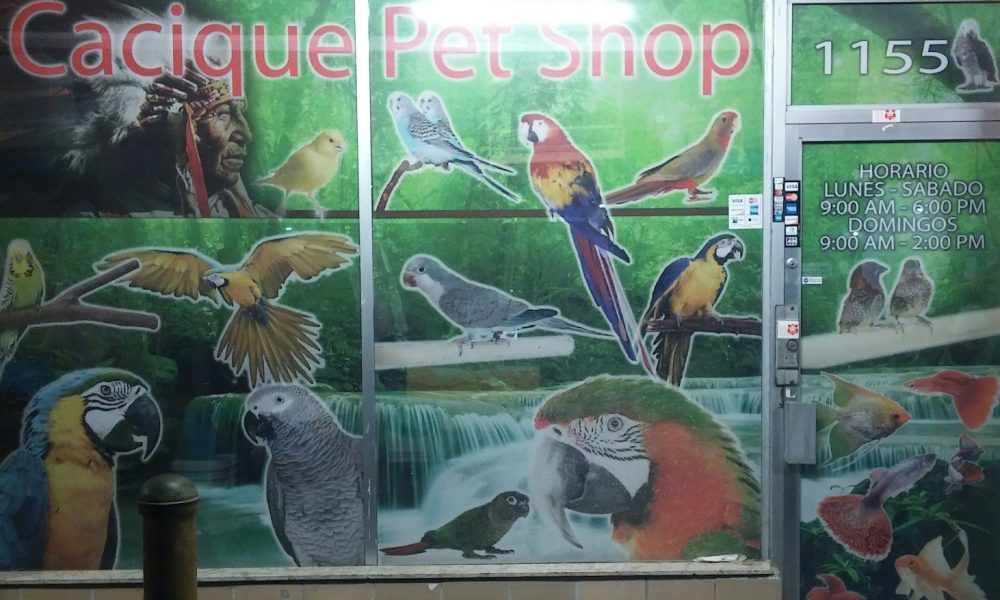 Cacique pet shop