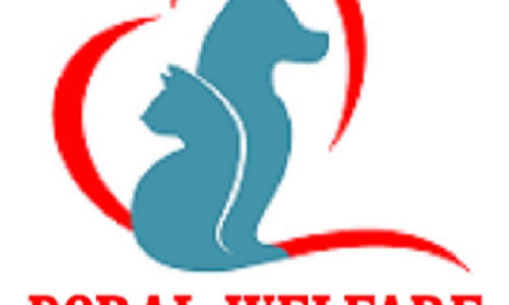 Doral Welfare Animal Clinic