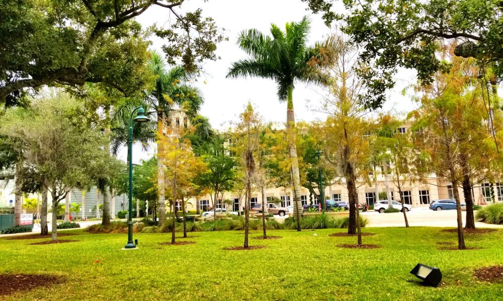 Downtown Doral Park