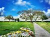 Our Lady of Mercy Cemetery