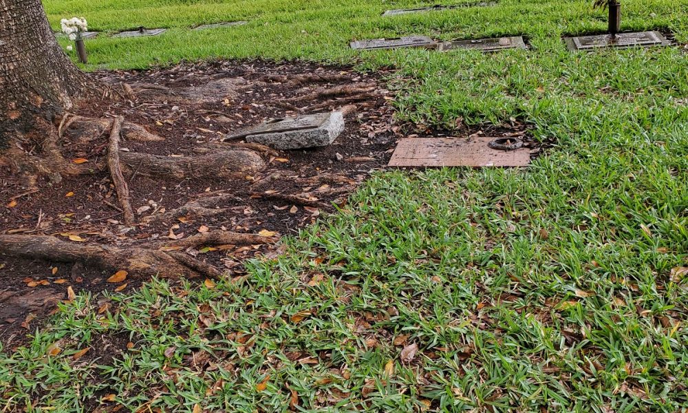 Our Lady of Mercy Cemetery