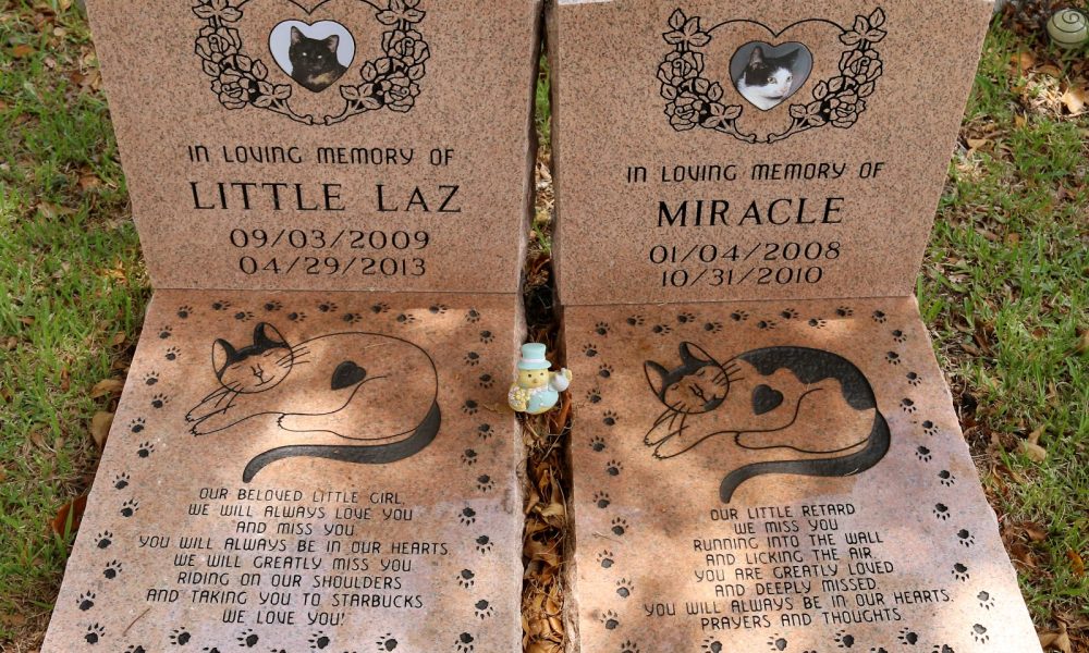 The Pet Loss Center of Miami | Pet Cremation, Pet Burial, Pet Memorialization