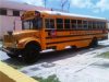 A Plus School Bus