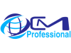 CM Professional Information Technology