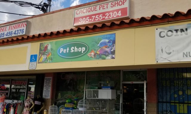 Cacique pet shop