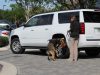 RUSH K-9 DORAL