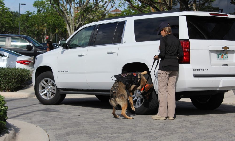 RUSH K-9 DORAL