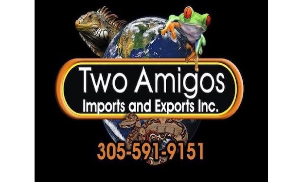 Two Amigos Imports & Exports, Inc.