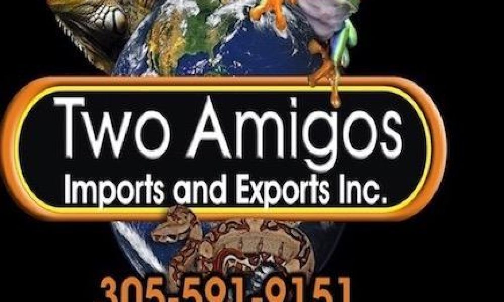 Two Amigos Imports & Exports, Inc.