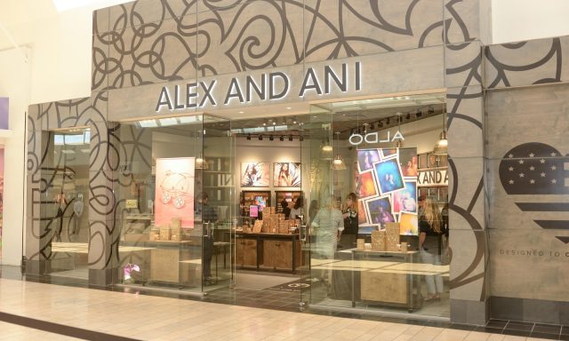 ALEX AND ANI