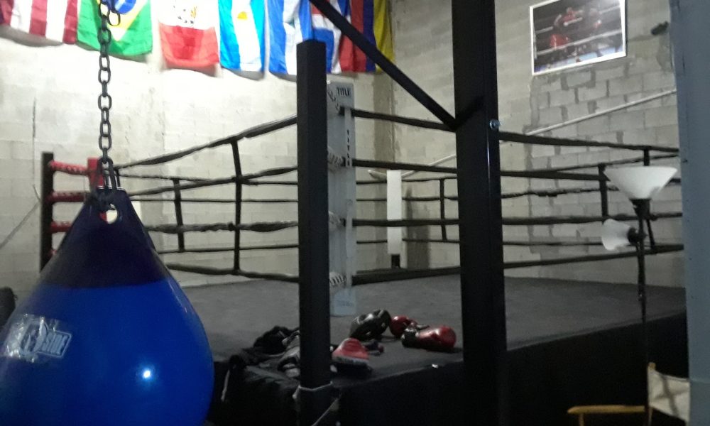 Boxing Champions Future Gym