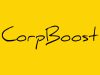 CorpBoost LLC