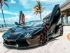 DS Motors Exotic Car Rental & Sales.