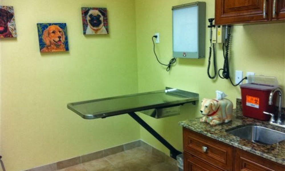 Dolphin Animal Hospital