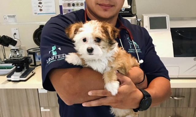 Doral Animal Medical Center