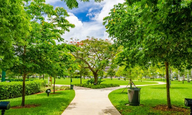 Downtown Doral Park