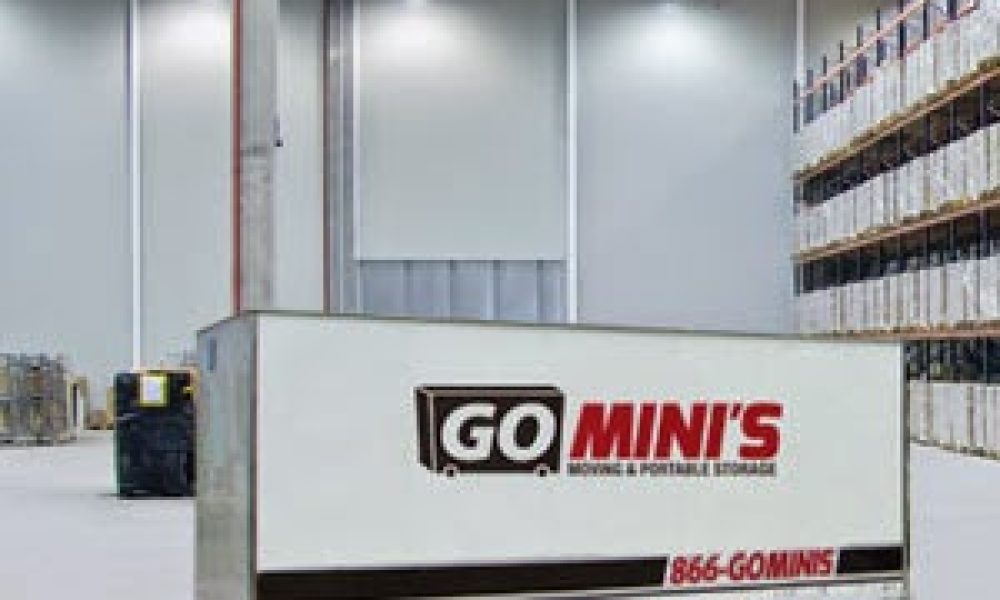 Go Mini's Of South Florida