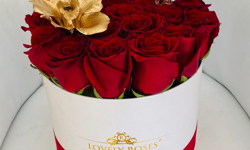 Lovely Roses