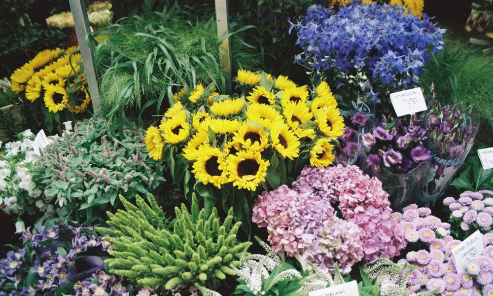 Miami Flower Market