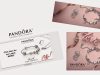 Pandora Jewelry at Exquisite Jewelers