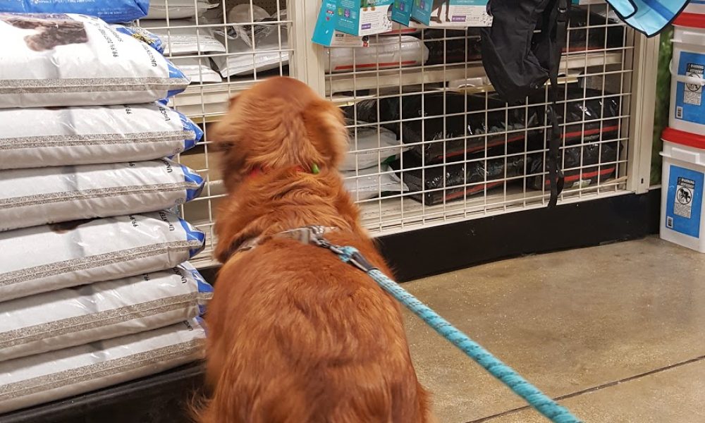 PetSmart - Free Curbside Pickup Available