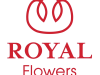 Royal Flowers Group - Ecuadorian Rose Grower and Flower Farm, Roses Wholesale, Ecuadorian Roses