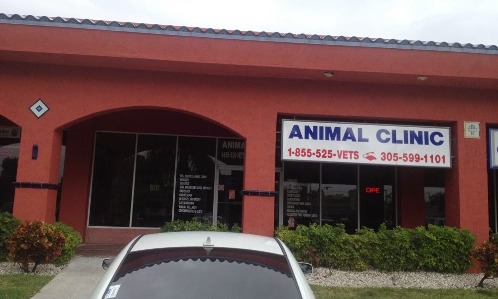 Veterinary Associates of South Florida and Spay & Neuter Foundation