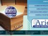 Ariel Cargo Export Inc