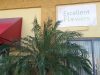 Excellent Florists