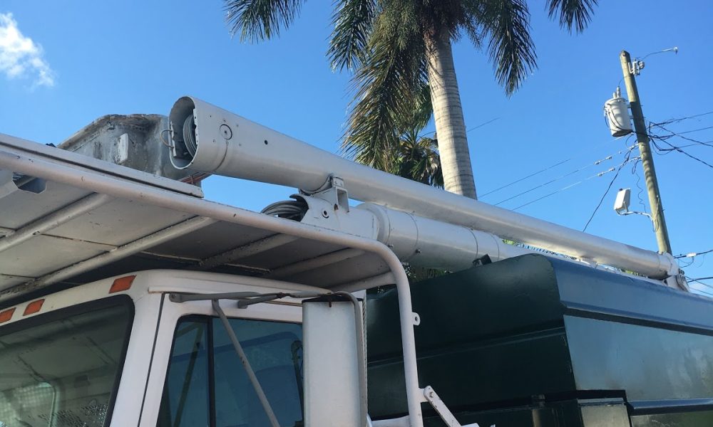 Father n Son Tree Service