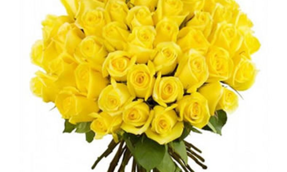 FlowersandFreshness.com