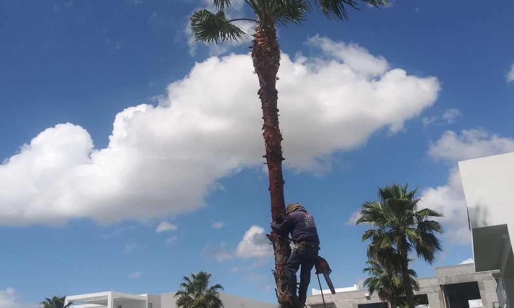 The Mansions at Doral