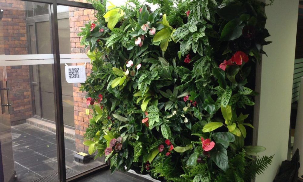 VIVO LANSDSCAPE DESIGN ON THE GO