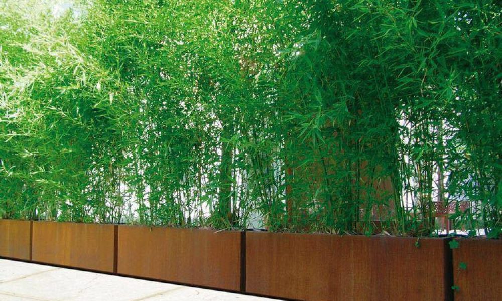 VIVO LANSDSCAPE DESIGN ON THE GO