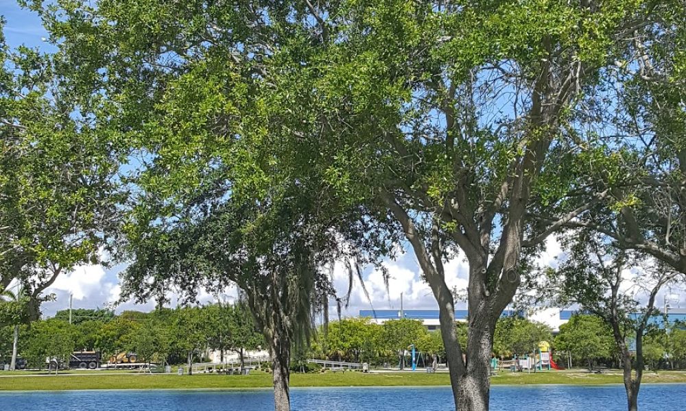 Women's Park History Gallery