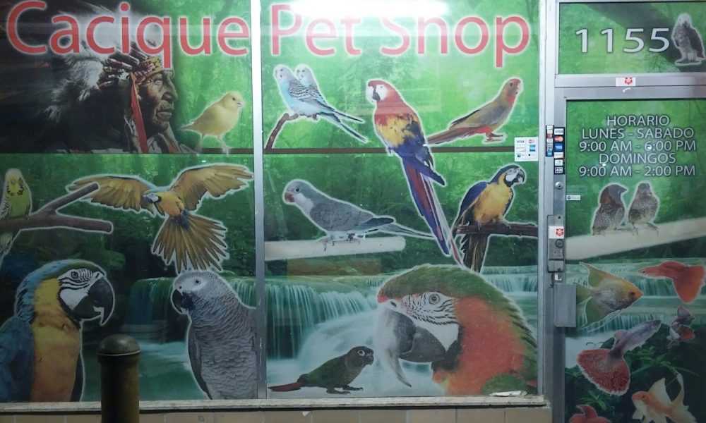 Cacique pet shop