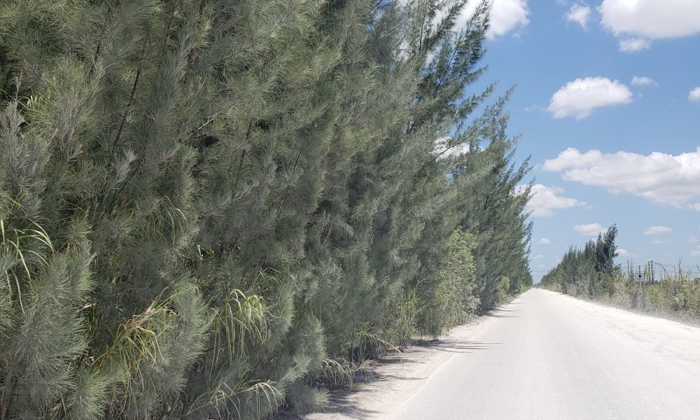 Concrete Structures Inc