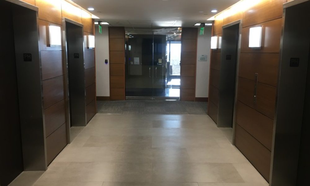 Golden Lion Investigations