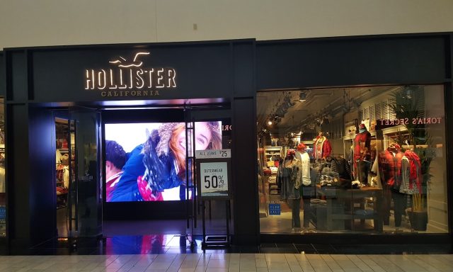 Hollister Co.