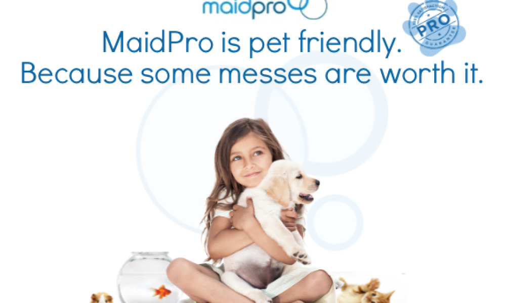 MaidPro Doral
